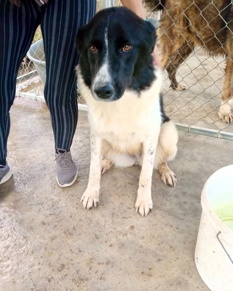 Helen in Griechenland