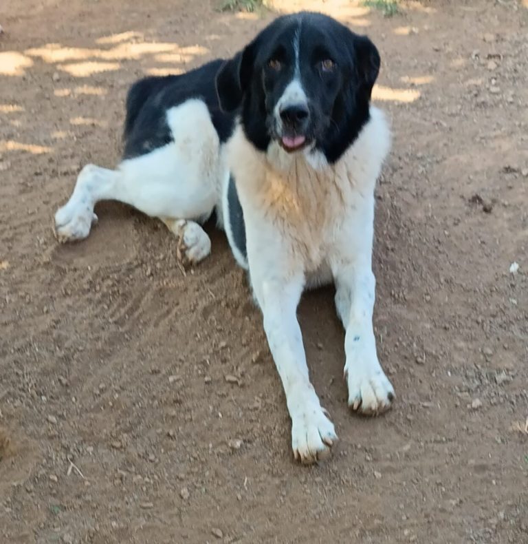 Helen in Griechenland