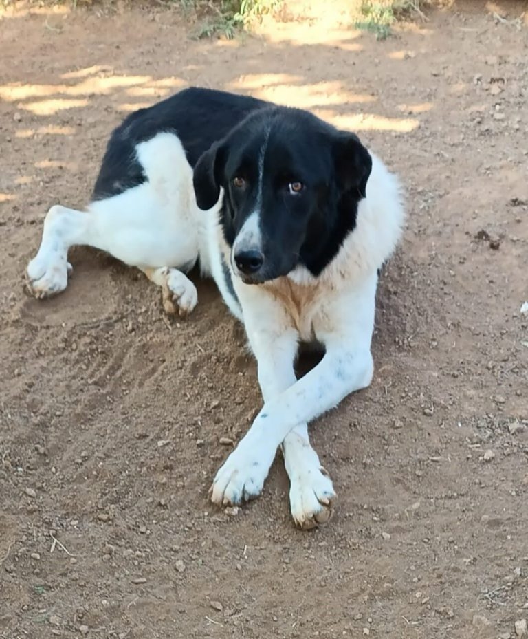 Helen in Griechenland