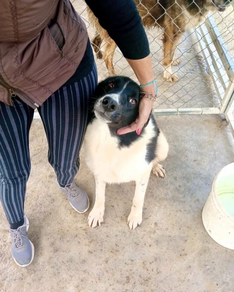 Helen in Griechenland