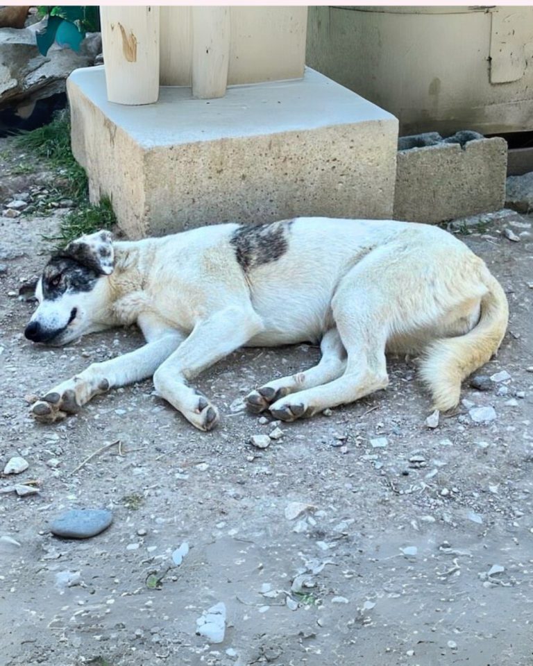 Nelli in Griechenland