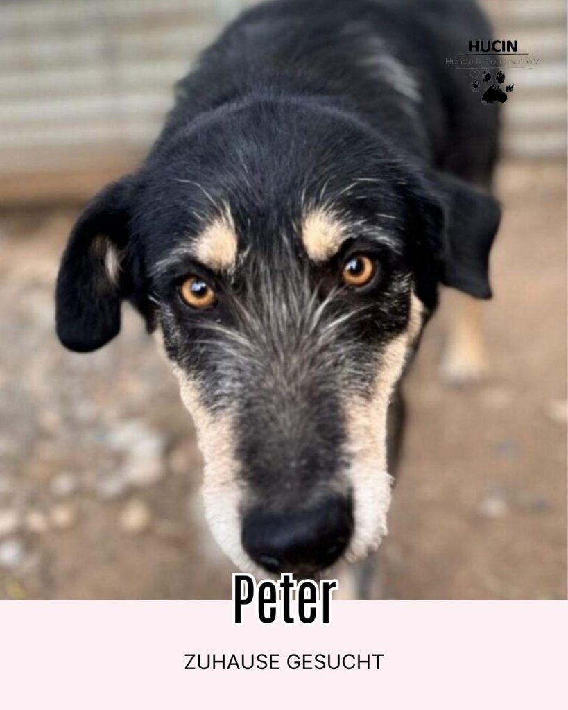 Peter in Griechenland