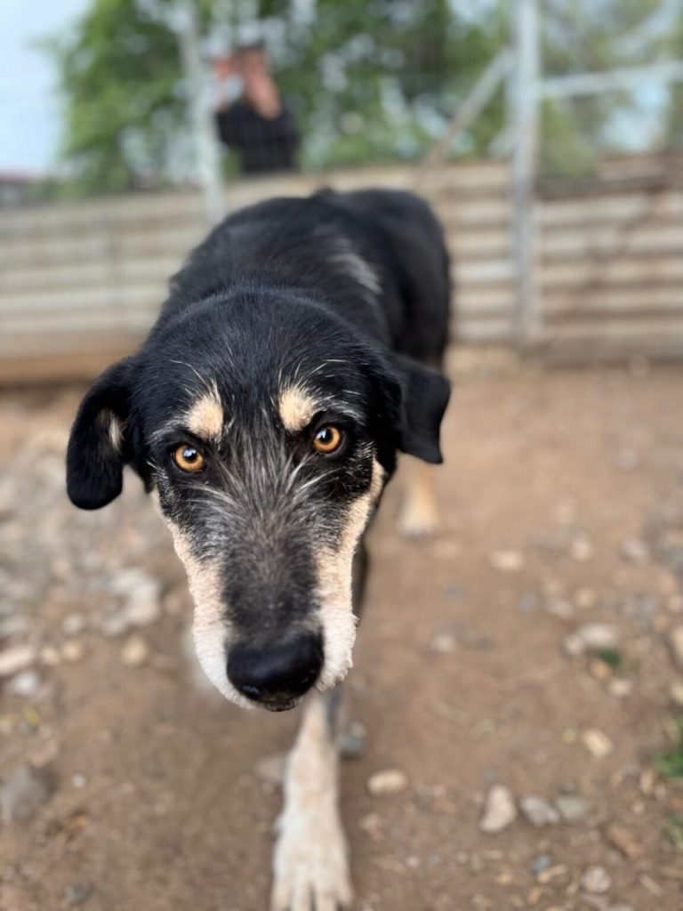 Peter in Griechenland