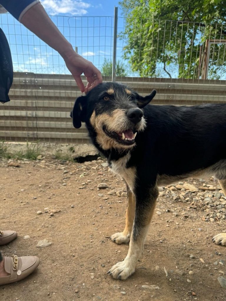 Peter in Griechenland