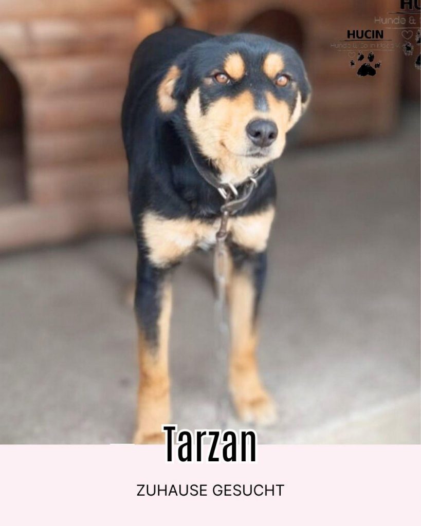 Tarzan in Griechenland