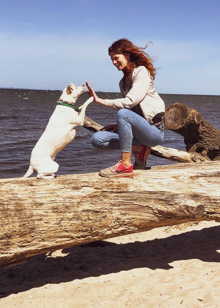 Abschied eines Hundes - Hand in Pfote - Hund abgeben - Hunde & Co. in Not e.V.