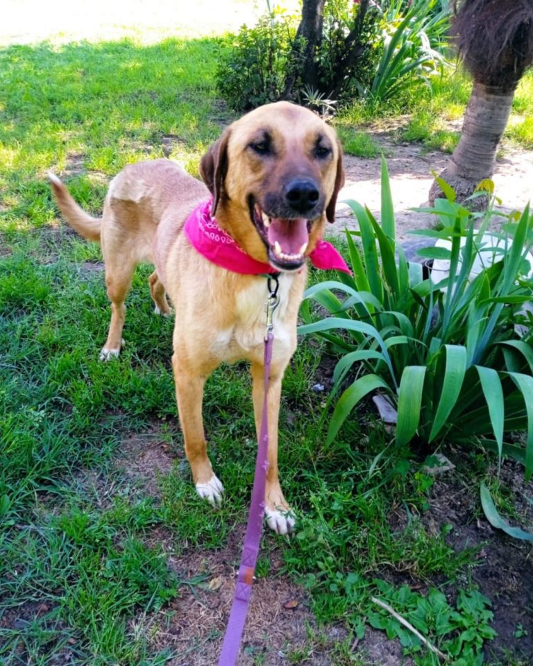 Zeta in Griechenland