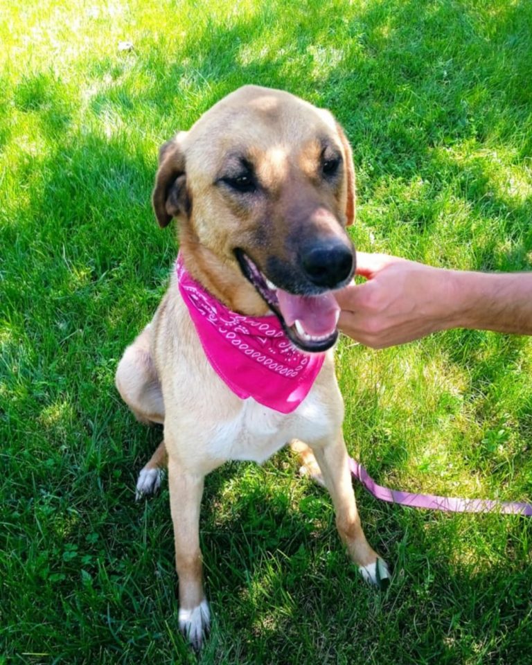 Zeta in Griechenland