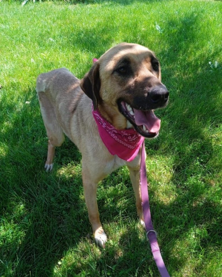 Zeta in Griechenland