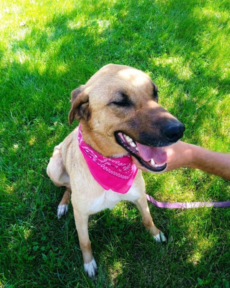 Zeta in Griechenland