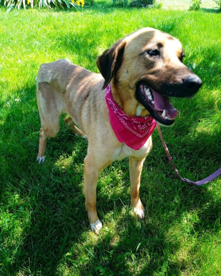 Zeta in Griechenland