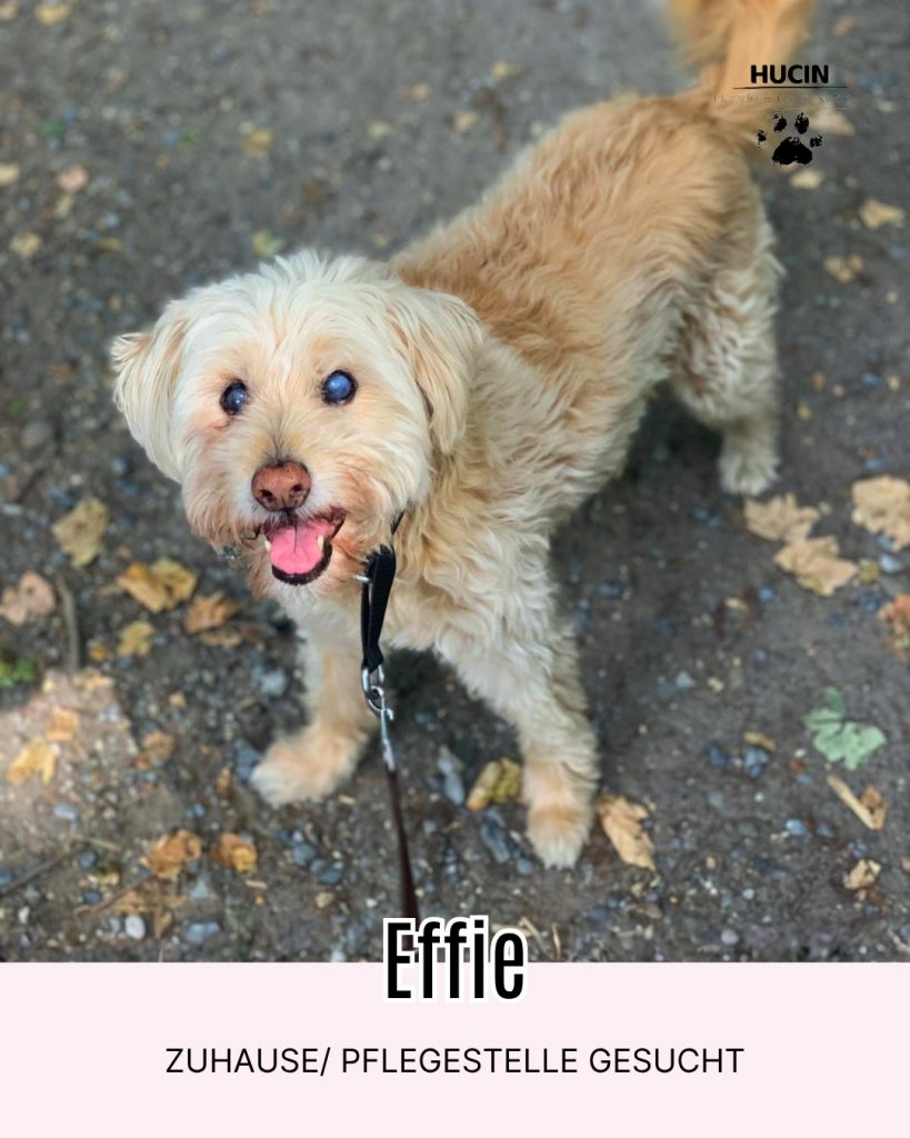 Effie