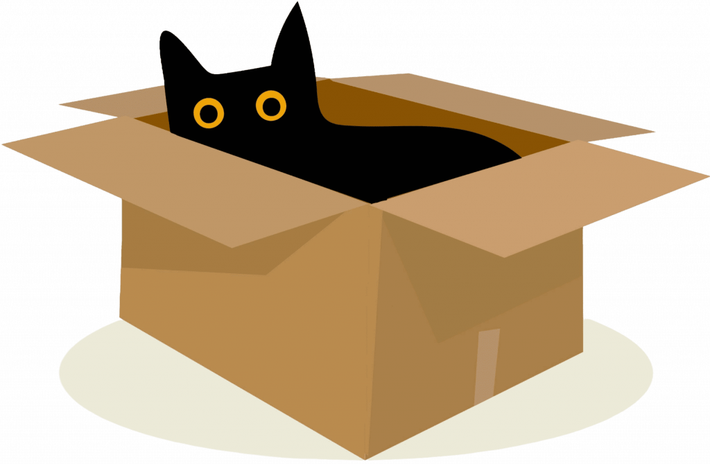 Illustration einer Katze in einer Box als Zeichen von vielen ausgesetzten Tieren, deshalb ist Katzen kastrieren sinnvoll.