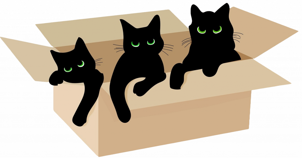 Illustration von drei schwarzen Katzen in einem Karton als Symbol für die Notwendigkeit, Katzen kastrieren zu lassen, um überlastete Tierheime zu vermeiden.
